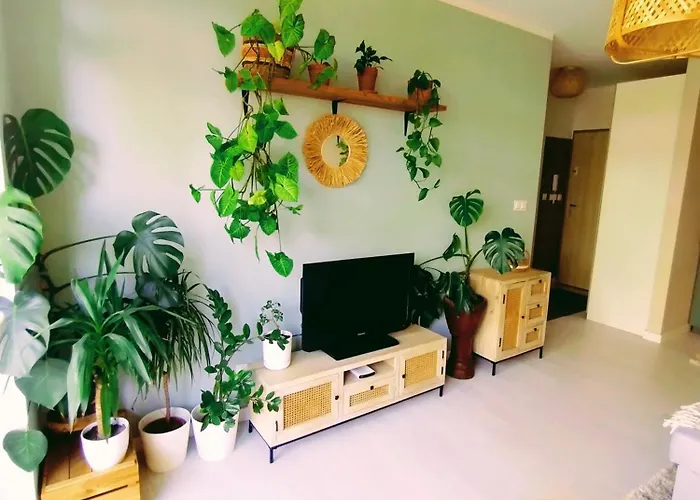 Boho House Klimatyczne Mieszkanie Z Ogrodkiem W Poblizu Plazy Apartment Gdynia